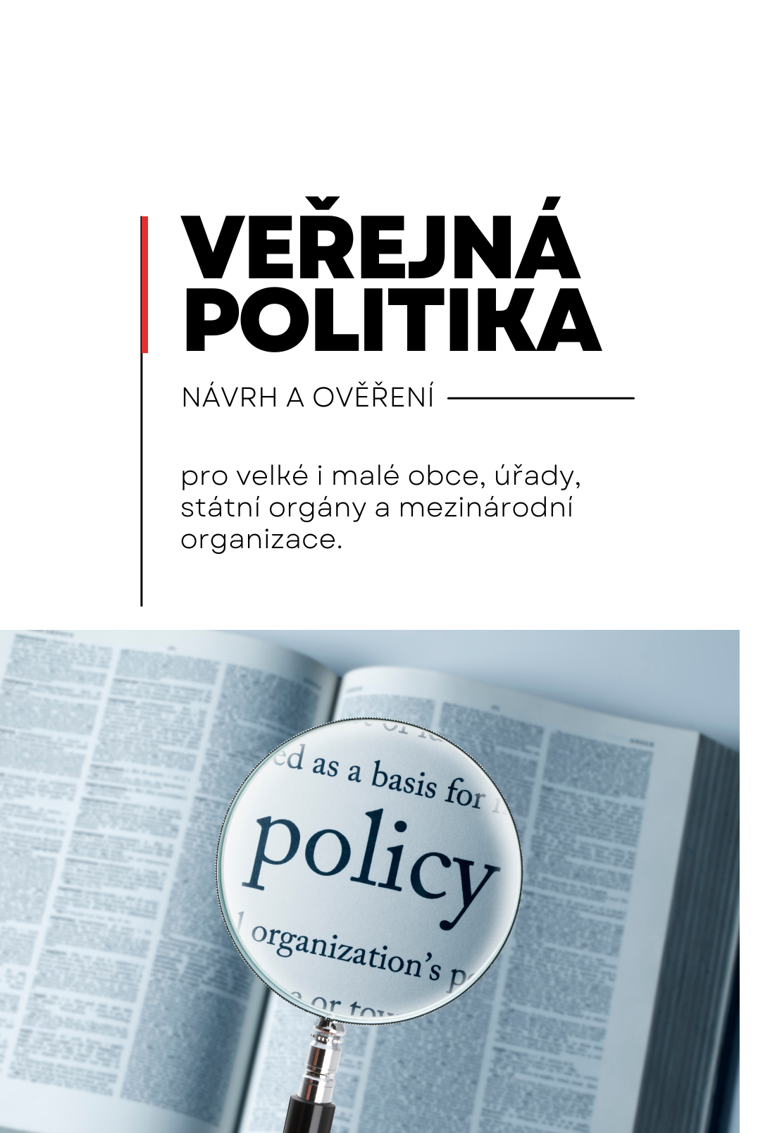 Veřejná politika